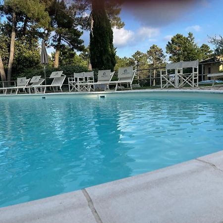 Tuscany Relax H&H - Helly House Apartment San Vivaldo ภายนอก รูปภาพ